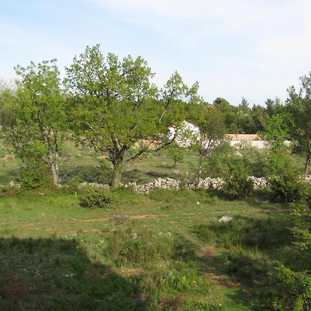 Paklina Apartments Starigrad Paklenica Extérieur photo