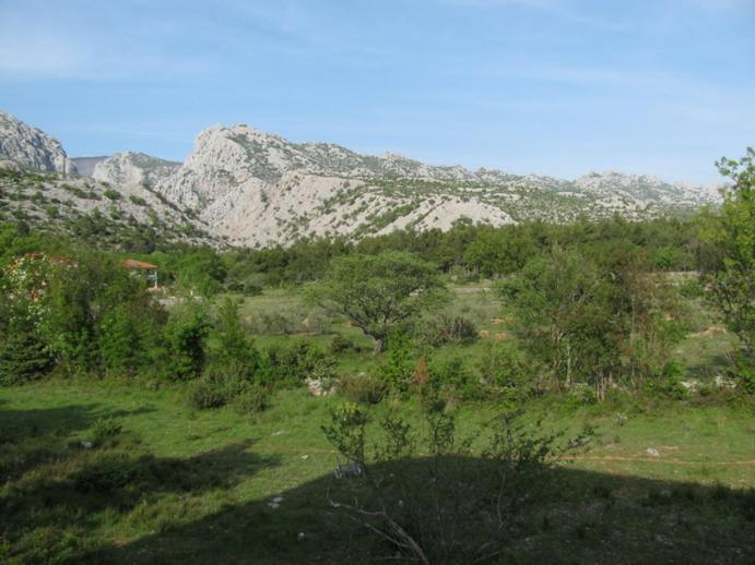 Paklina Apartments Starigrad Paklenica Extérieur photo